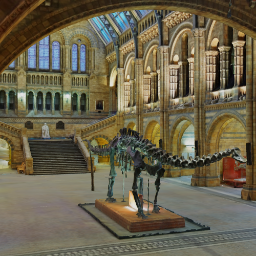 Natural History Museum with Dippy