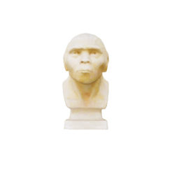 Peking Man