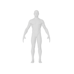 Male Base Model