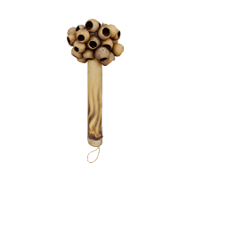 Maraca Seed