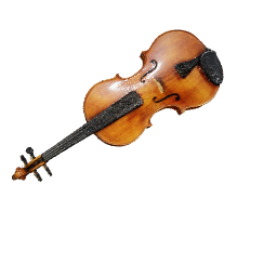 viola
