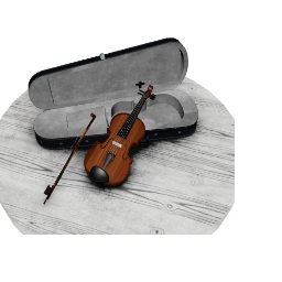 Violin Case and Bow