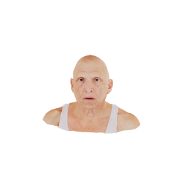 Oldman head scan