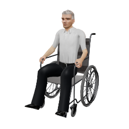 Wheel Chair