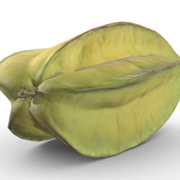 Star Fruit (Game Ready  2K PBR)