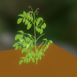 Biology: Potato