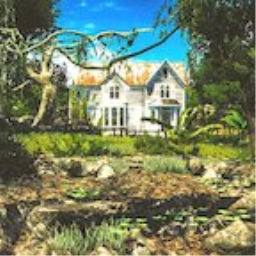 Forest House Speed Build
