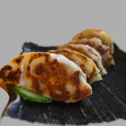 Ozumo Gyoza