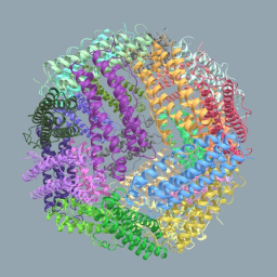 Ferritin Molecular Structure