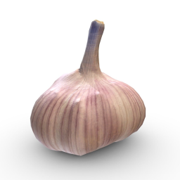 Garlic (Game Ready  2K PBR)