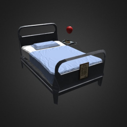 Hospital Bed