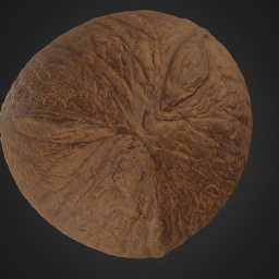 Coconut Scan 8k