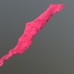 Vascular Smooth Muscle Cell