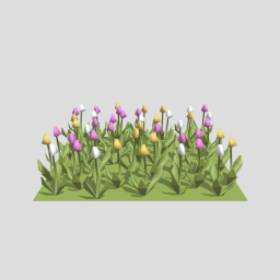 town_nature-tulip