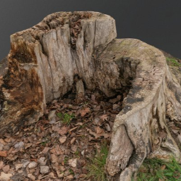 Old green stump