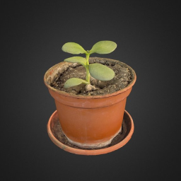 Home flower in a pot. Extra low poly