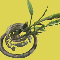 Small Plant | photogrammetry