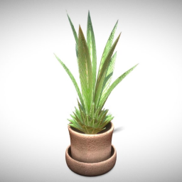 Indoor Pot Plant 3