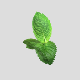 Mint with lebel