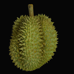Durian The King of Fruits