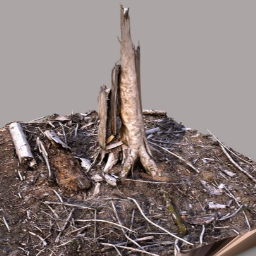 Destroyed Forest