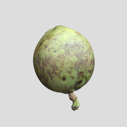 buah kelapa coconut