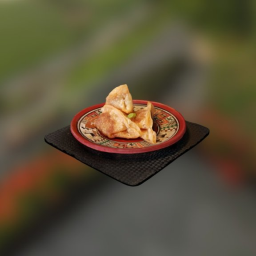 Fried Dumplings *OLD MODEL*