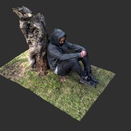Resting Tree