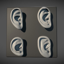 Ear Set