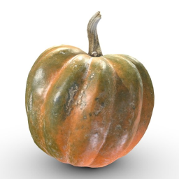 Pumpkin (Game Ready  2K PBR)