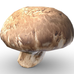 Mushroom (Game Ready  2K PBR)