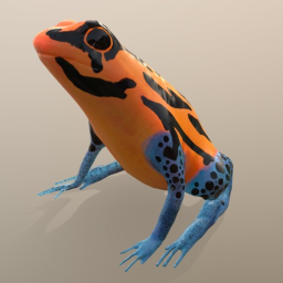 Poison Dart Frog