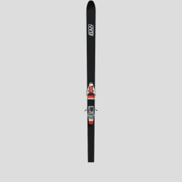 Skis