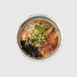 Numazu Special Udon Noodle