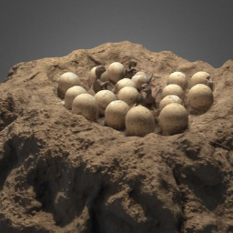 NEST DINOSAUR Maiasaura NHM LONDON 2020