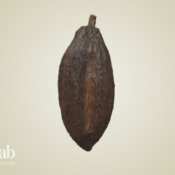 Cocoa Pod