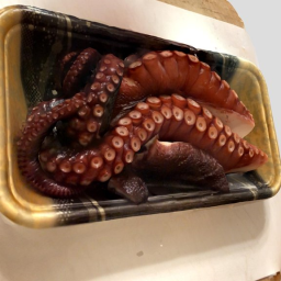 Common Octopus fillet for sashimi 2