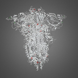 SARS-CoV-2 Spike Protein Molecular Structure
