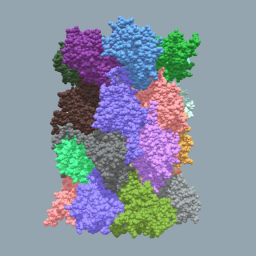Human 20S Proteasome Complex with Bortezomib