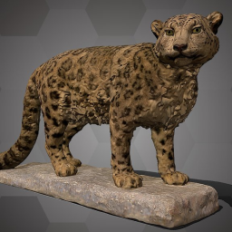 Snow Leopard (NHMW-Zoo-MAMM B5555)