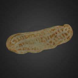 Hua Sheng  Peanut