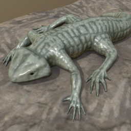 Discosauriscus austriacus