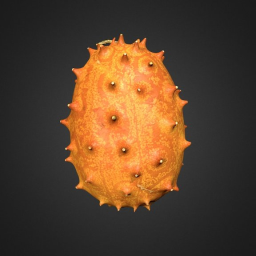 Kiwano (horned melon)