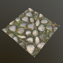 Rocky Forest Floor Texture