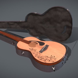 Guitar and Case