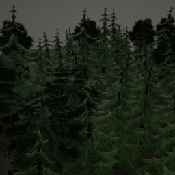 Forest