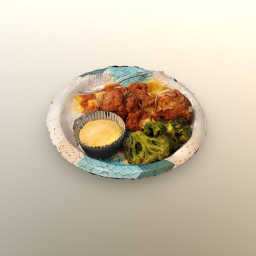 Food Plate