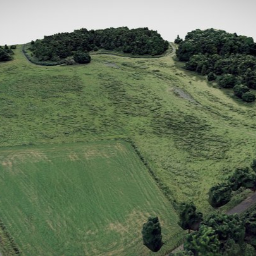 Photogrammetry | 3D scan nature landscape
