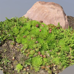 Rock Garden - RC Earth Day submission