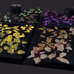 Splash of Color - Unique Photogrammetry Plants 4
